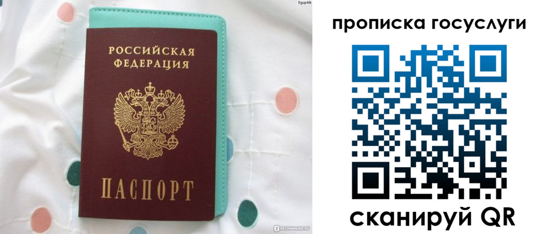 прописка поиск в Зеленоградске